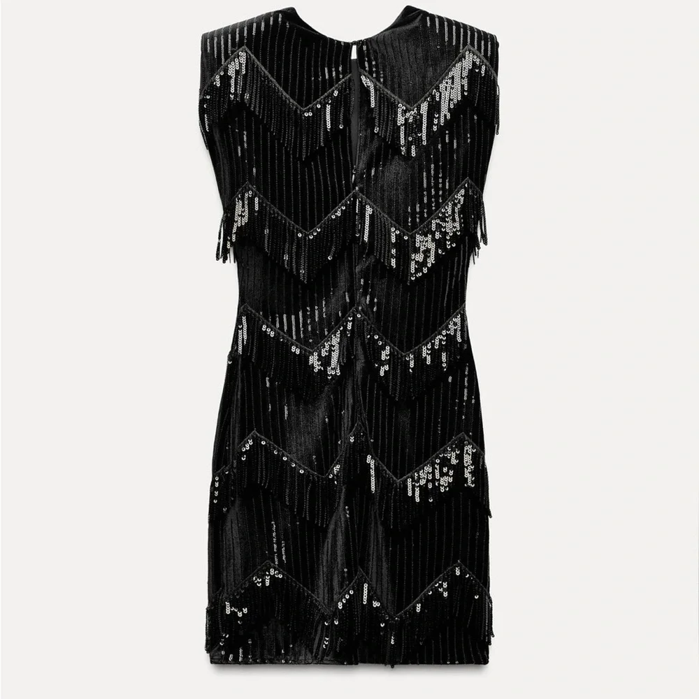 NWT ZARA  FRINGED Sequin Dress size XS AND S
🚨FIRM PRICE NO DISCOUNT - Picture 9 of 15